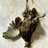 Sample of painting: Dead Partridge